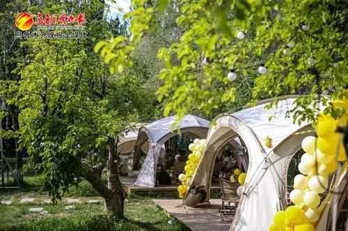 ” 打造文旅新场景 激发消费新活力麻将胡了2试玩文化中国行丨“露营+(图4)