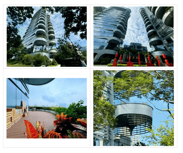 园林搬进园区的宝藏办公室你去过几个？PG电子麻将胡了2模拟器深圳这些把(图7)