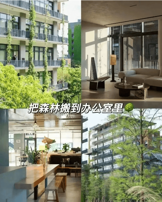 园林搬进园区的宝藏办公室你去过几个？PG电子麻将胡了2模拟器深圳这些把(图9)