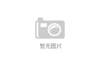 025俄罗斯消费电子及家用电器展览会 I